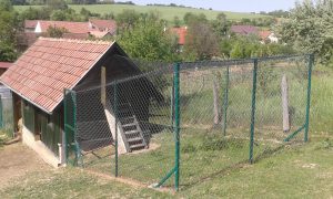 Állatház tyúkudvarral
